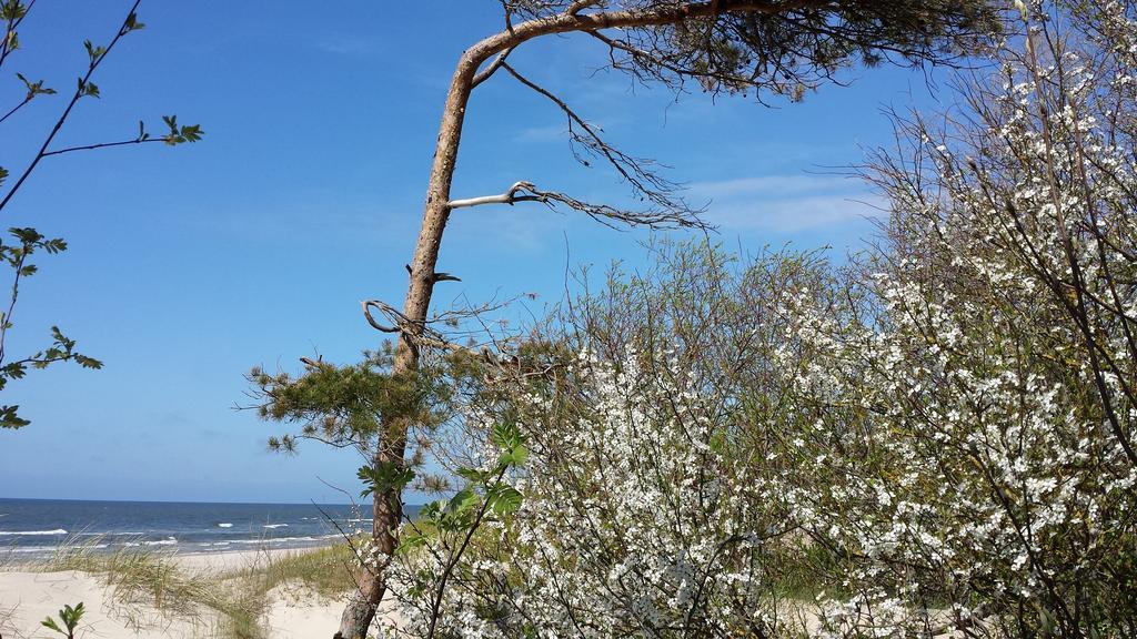 A.V. Namai Hotel Palanga Eksteriør billede